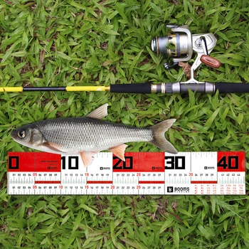 2 елемента 65 см Риболовна измервателна линийка, Водоустойчив риболовна измерване на лента, Точно преносими такъми, принадлежности, риболовни принадлежности